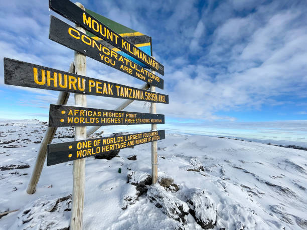 Sure, here's a day-to-day itinerary for an 8-day trekking adventure on the Marangu route, one of the most popular routes for climbing Mount Kilimanjaro