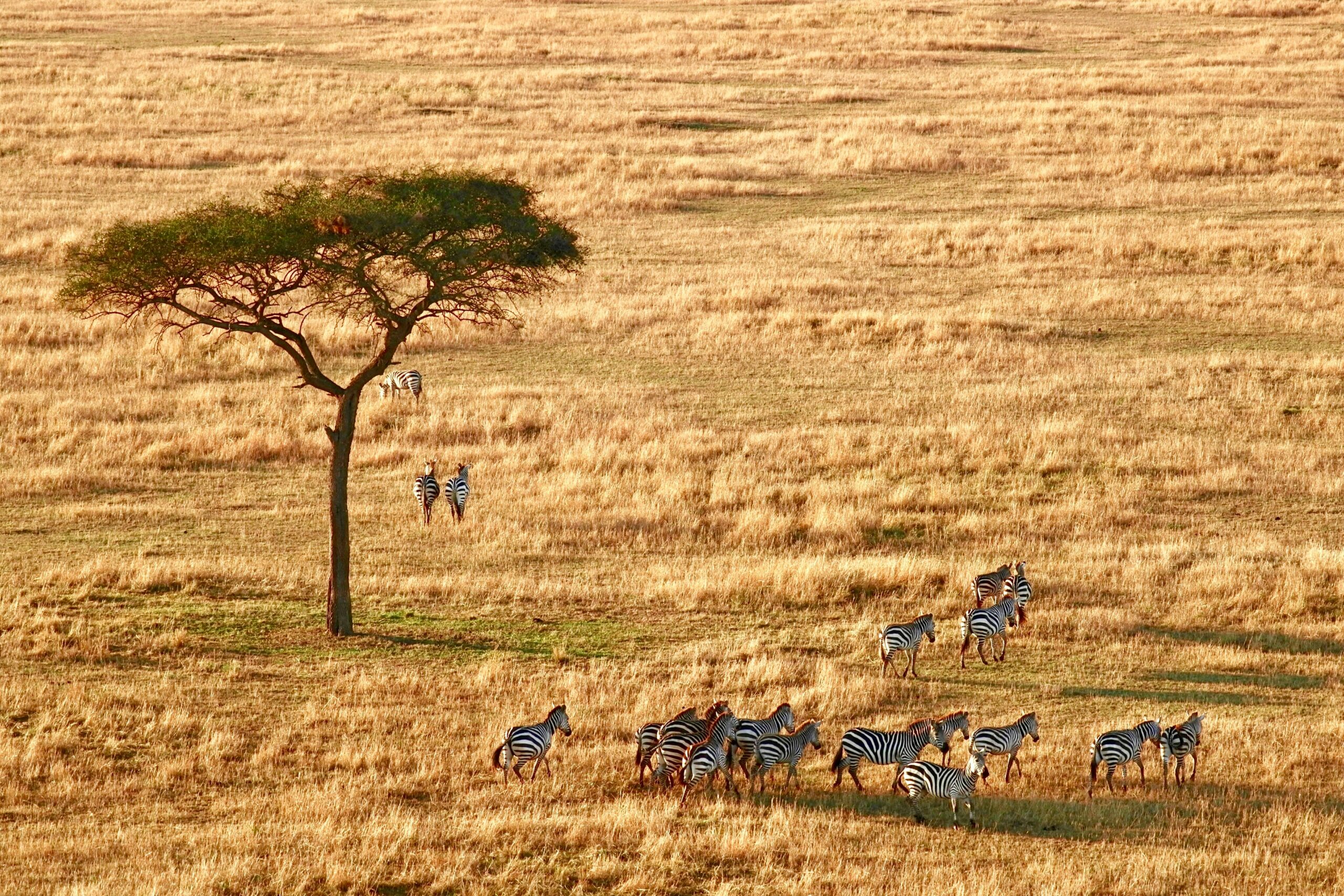Wonders of Serengeti National Park