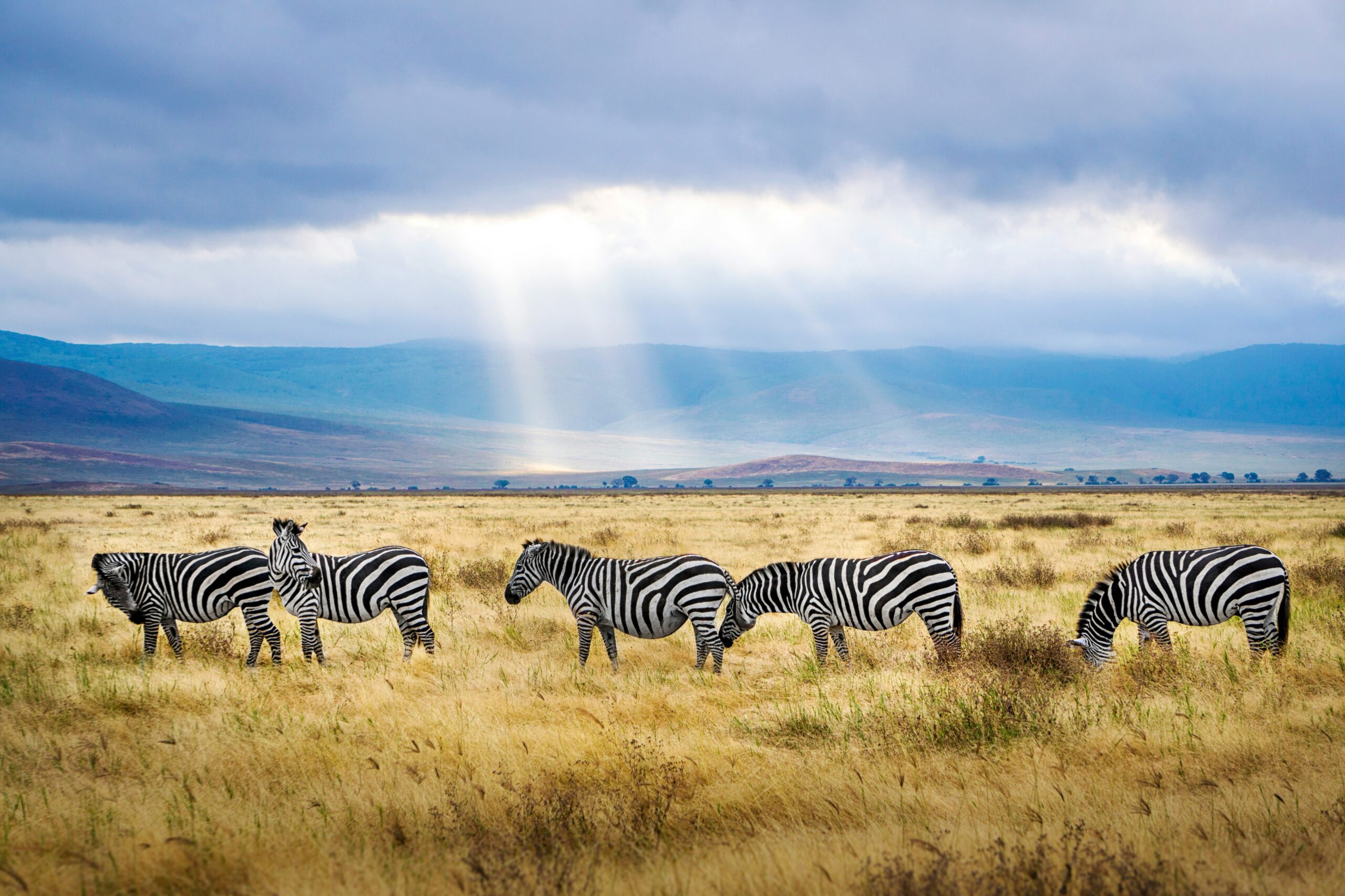Exploring the Wonders of Ngorongoro Crater