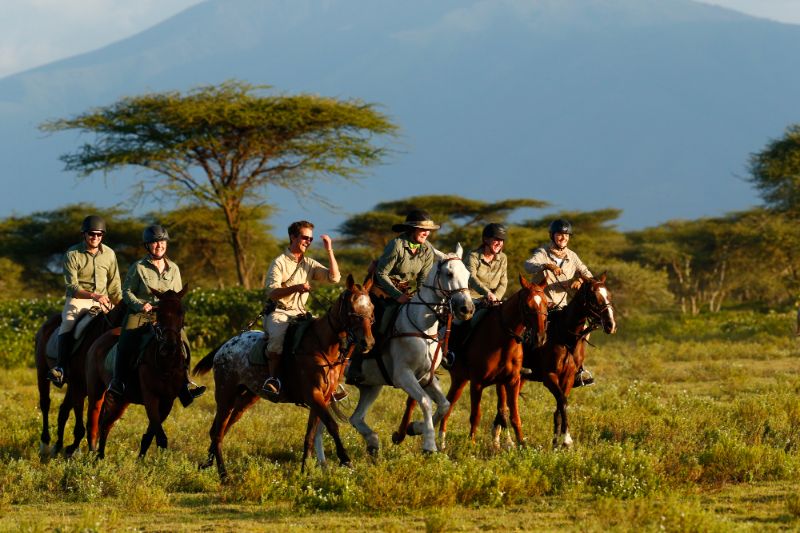 Tanzania Safaris Embark on an Adventure