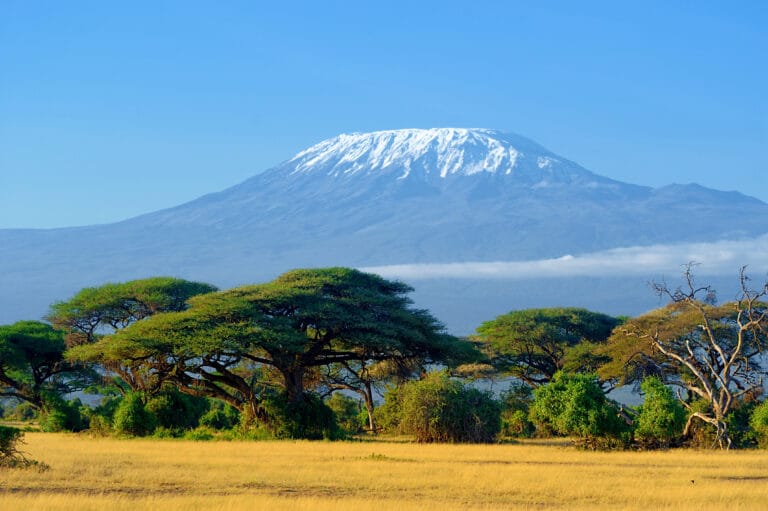A picture which shows where people can climb mount kilimanjaro