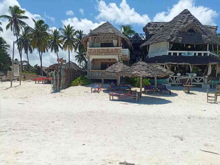 a picture showing Tanzania Safari and Zanzibar